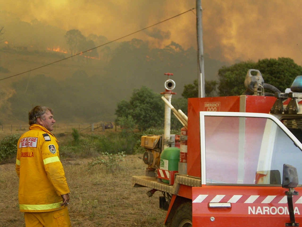 RIMG0109.JPG (357519 bytes)