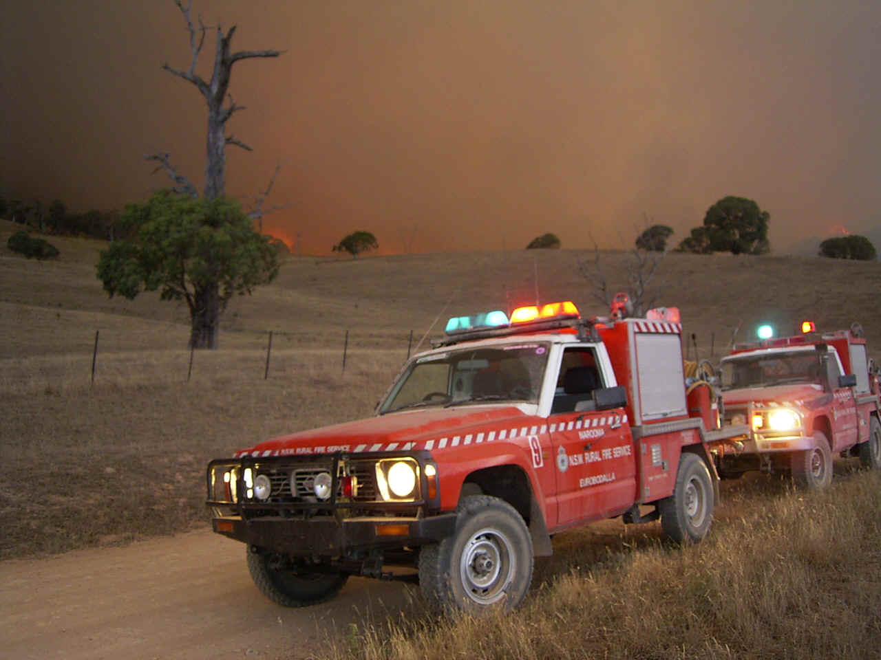 RIMG0110.JPG (352799 bytes)