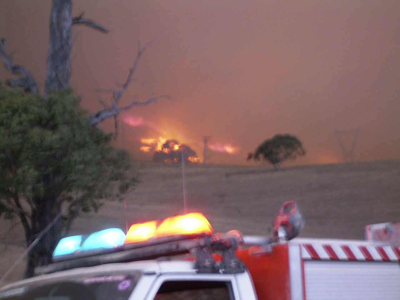 RIMG0111.JPG (343687 bytes)