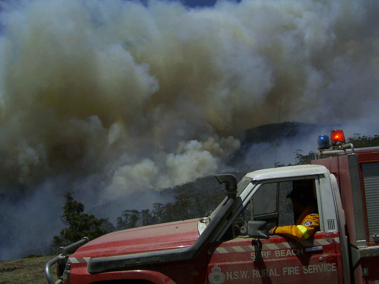 RIMG0112.JPG (351735 bytes)