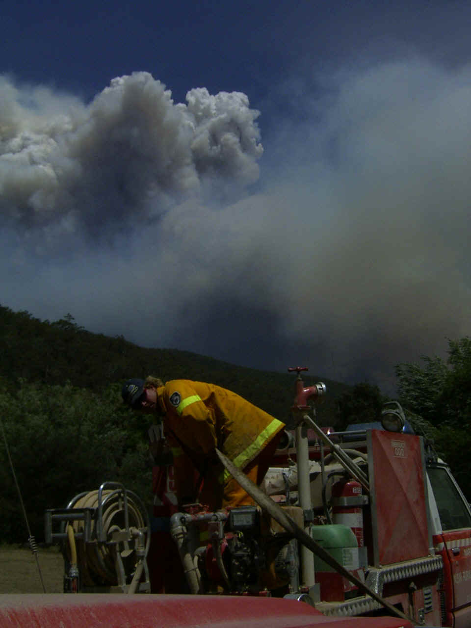 RIMG0113.JPG (306176 bytes)