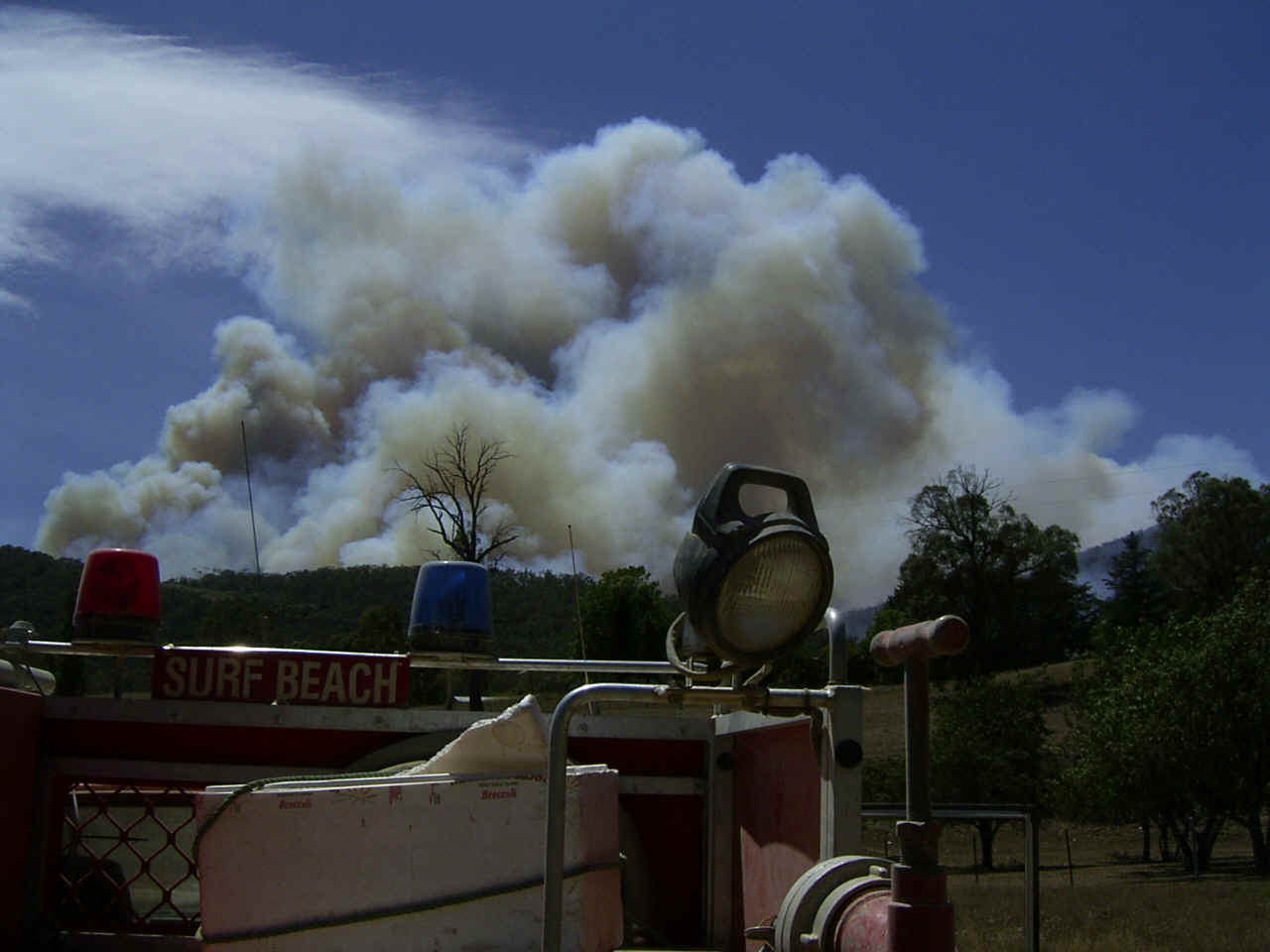 RIMG0130.JPG (340915 bytes)