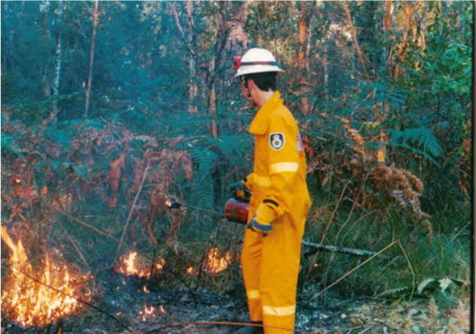 drip1.jpg (114249 bytes)