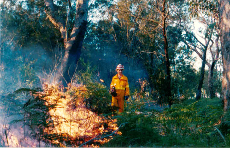 fire1.jpg (150760 bytes)