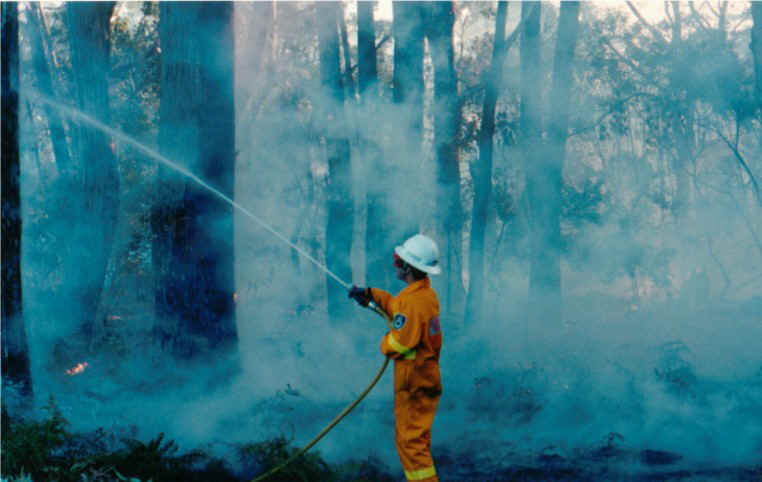 fire2.jpg (85163 bytes)