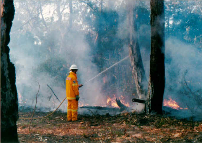 fire3.jpg (90068 bytes)