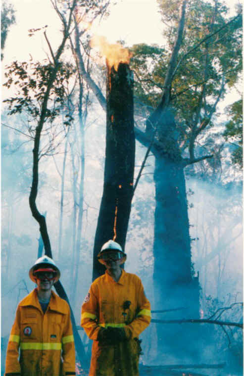 fire5.jpg (107617 bytes)