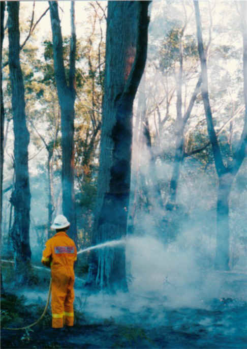 fire6.jpg (91643 bytes)