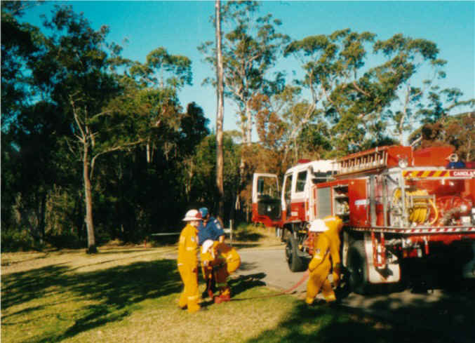 junior7.jpg (109760 bytes)