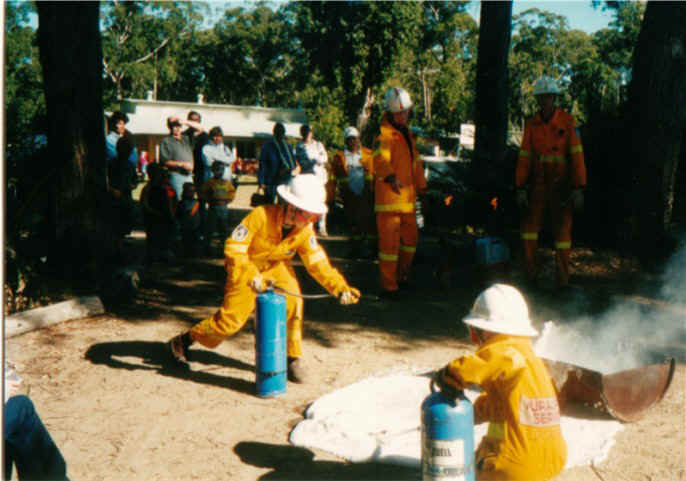 junior8.jpg (90735 bytes)